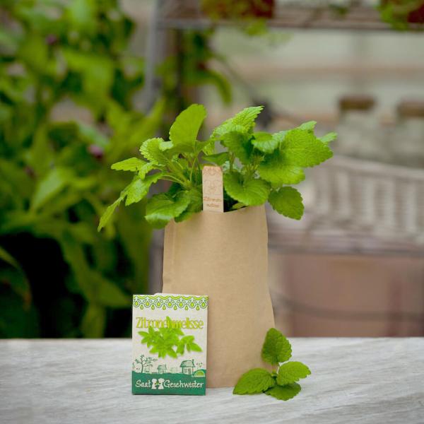 Saatgut Set Zitronenmelisse Komplett-Set - Kräutergarten Anzucht im Aussenbereich mit Gartenerde Samen Anleitung Pflanzstäbchen - bis 10 Pflanzen