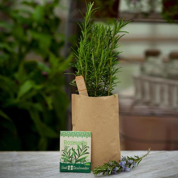 Rosmarin Saatgut Set - Komplett-Anzucht-Kit für Kräutergarten Aussenbereich - Mit Erde, Anleitung, Pflanzstäbchen - Wasserdichte Tüte - Geschenk
