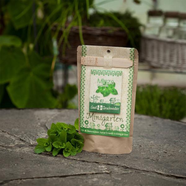 Saatgut Set Minze - Anzucht Komplett-Set mit Gartenerde, Samen, Anleitung & Pflanzstäbchen - wasserfeste Verpackung als Pflanztopf nutzbar - 80 Pflanzen