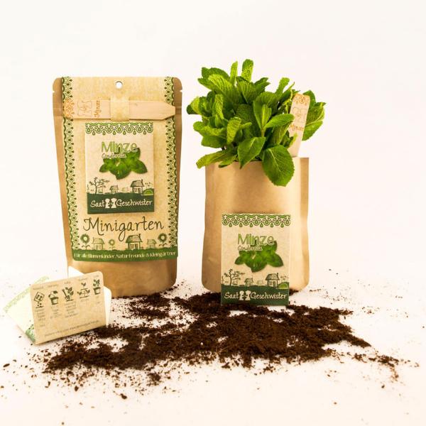 Saatgut Set Minze - Anzucht Komplett-Set mit Gartenerde, Samen, Anleitung & Pflanzstäbchen - wasserfeste Verpackung als Pflanztopf nutzbar - 80 Pflanzen