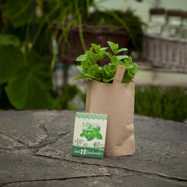 Saatgut Set Minze - Anzucht Komplett-Set mit Gartenerde, Samen, Anleitung & Pflanzstäbchen - wasserfeste Verpackung als Pflanztopf nutzbar - 80 Pflanzen