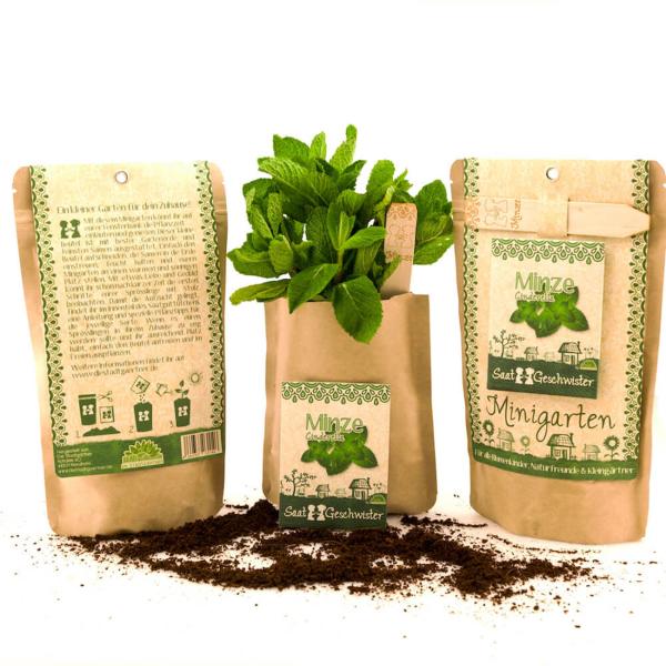 Saatgut Set Minze - Anzucht Komplett-Set mit Gartenerde, Samen, Anleitung & Pflanzstäbchen - wasserfeste Verpackung als Pflanztopf nutzbar - 80 Pflanzen