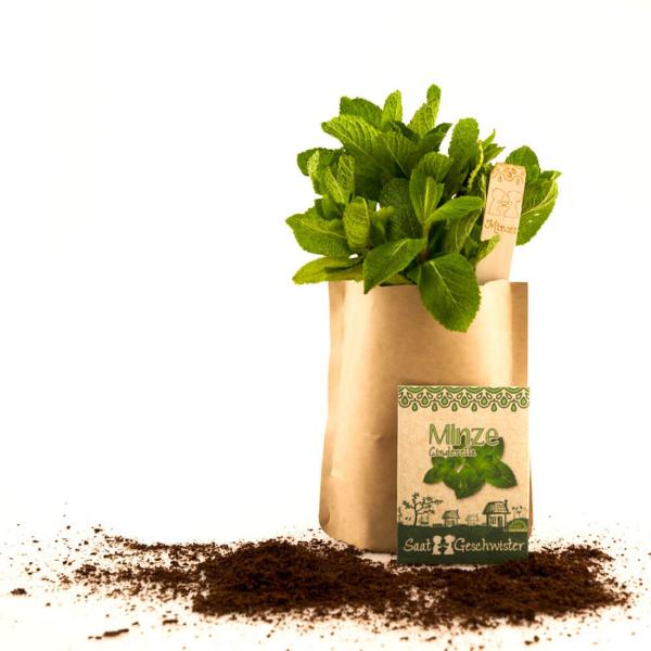 Saatgut Set Minze - Anzucht Komplett-Set mit Gartenerde, Samen, Anleitung & Pflanzstäbchen - wasserfeste Verpackung als Pflanztopf nutzbar - 80 Pflanzen