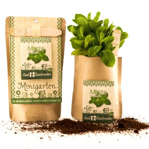 Saatgut Set Minze - Anzucht Komplett-Set mit Gartenerde, Samen, Anleitung & Pflanzstäbchen - wasserfeste Verpackung als Pflanztopf nutzbar - 80 Pflanzen