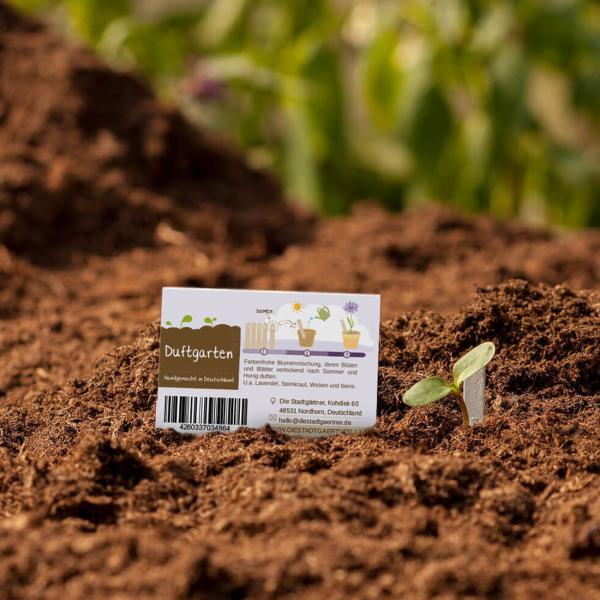Duftgarten Steckling - Karte mit 10 Saatgut Stiften zum Einpflanzen - Einfache Anwendung für neue Geruchsexplosionen - ideal als Geschenk & Mitbringsel