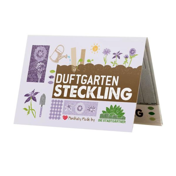 Duftgarten Steckling - Karte mit 10 Saatgut Stiften zum Einpflanzen - Einfache Anwendung für neue Geruchsexplosionen - ideal als Geschenk & Mitbringsel