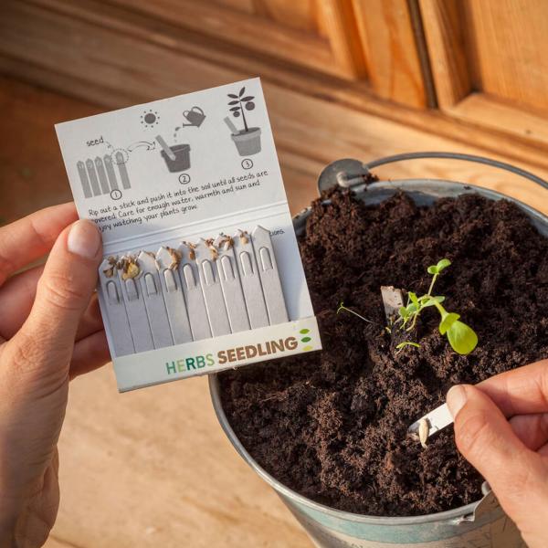 Mini Gewächshaus mit 10 Anzuchttöpfen und Samen Stiften - eine perfekte Anzuchthilfe für Pflanzenzucht & frische Kräuter