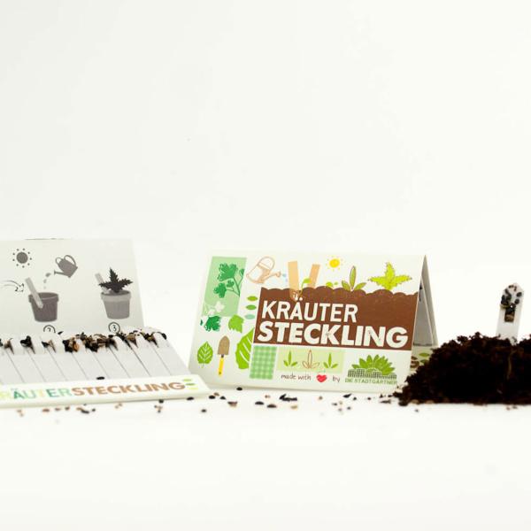 Mini Gewächshaus mit 10 Anzuchttöpfen und Samen Stiften - eine perfekte Anzuchthilfe für Pflanzenzucht & frische Kräuter