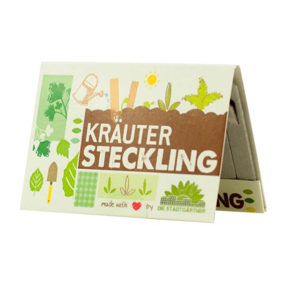 Mini Gewächshaus mit 10 Anzuchttöpfen und Samen Stiften - eine perfekte Anzuchthilfe für Pflanzenzucht & frische Kräuter