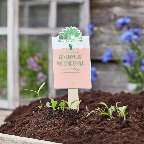 Saatgrüsse "Das Leben ist wie eine Gurke" - Lustiger Gurkengruss zum Verschenken & Eigenanbau - Grün, supersaftig, lecker - Geschenkidee, Mitbringsel