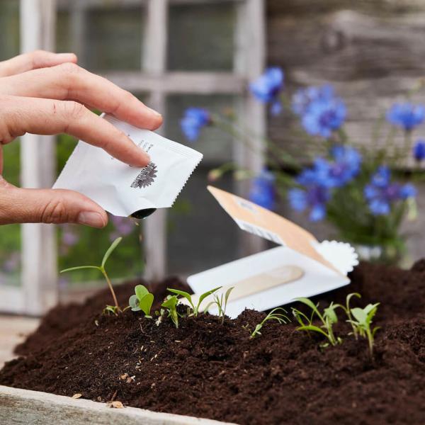 Saatgrüsse Grusskarte "Bee happy" - Kunterbunte Blumenmischung als bienenfreundliche Garten-Geschenkidee - Zaubert Blumen statt Abfall