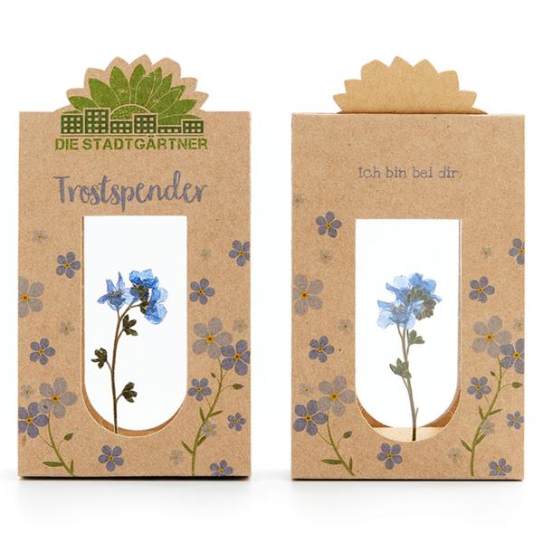 Trostspender Vergissmeinnicht hinter Glas, Geschenk zur Aufmunterung