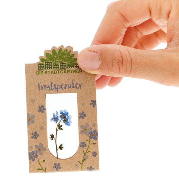 Trostspender Vergissmeinnicht hinter Glas, Geschenk zur Aufmunterung