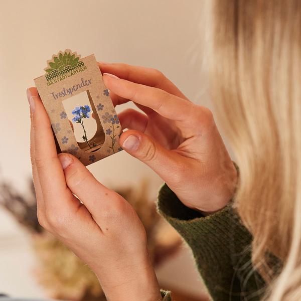 Trostspender Vergissmeinnicht hinter Glas, Geschenk zur Aufmunterung