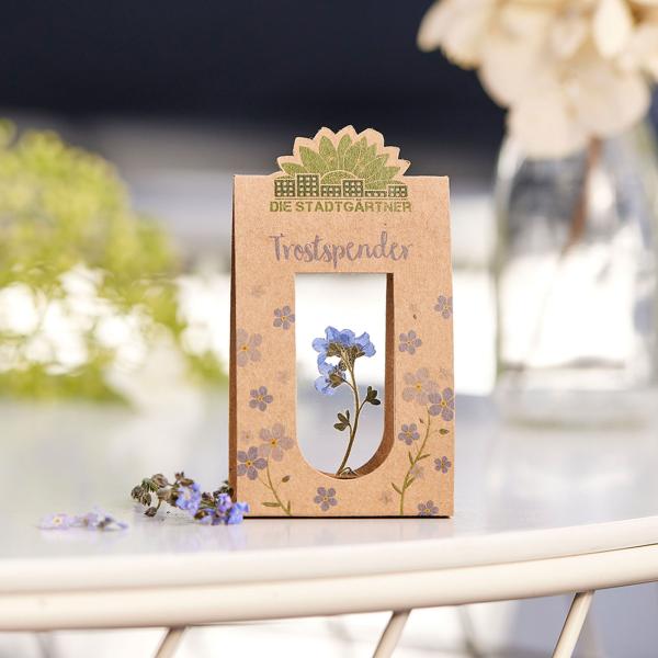 Trostspender Vergissmeinnicht hinter Glas, Geschenk zur Aufmunterung