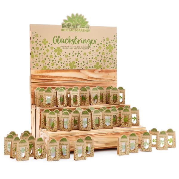 Glücksbringer vierblättriges Kleeblatt hinter Glas - 100% Natur & handgepflückt - Liebevolle Geschenkidee für jeden Anlass - Für Glückwünsche