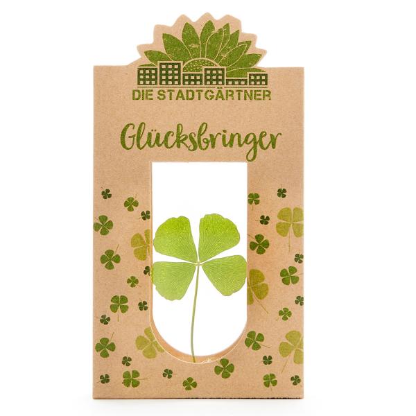 Glücksbringer vierblättriges Kleeblatt hinter Glas - 100% Natur & handgepflückt - Liebevolle Geschenkidee für jeden Anlass - Für Glückwünsche