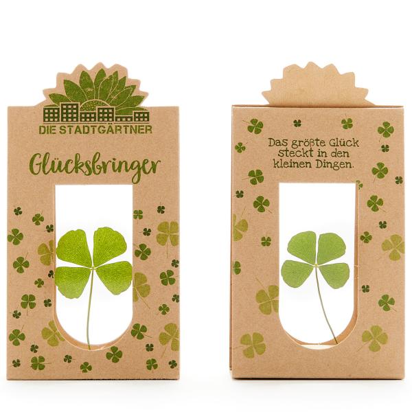 Glücksbringer vierblättriges Kleeblatt hinter Glas - 100% Natur & handgepflückt - Liebevolle Geschenkidee für jeden Anlass - Für Glückwünsche