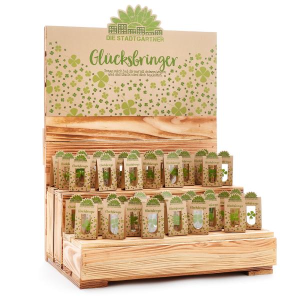 Glücksbringer vierblättriges Kleeblatt hinter Glas - 100% Natur & handgepflückt - Liebevolle Geschenkidee für jeden Anlass - Für Glückwünsche