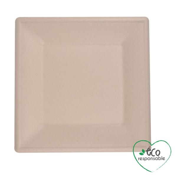 Zuckerrohr Teller eckig 24er-Set - Biologisch abbaubar & kompostierbar - 15x15cm - Für Party, Grillfeier & Catering - Heiss-/Kalt-Speisen & Mikrowelle