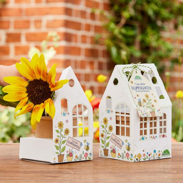 Gewächshäuschen-Set Sonnenblumen - Anzuchtset mit Deko-Gartenhäuschen, Pflanzgefäss, Substrat, Bio-Saatgut & Anleitung - Für Kinder & Erwachsene