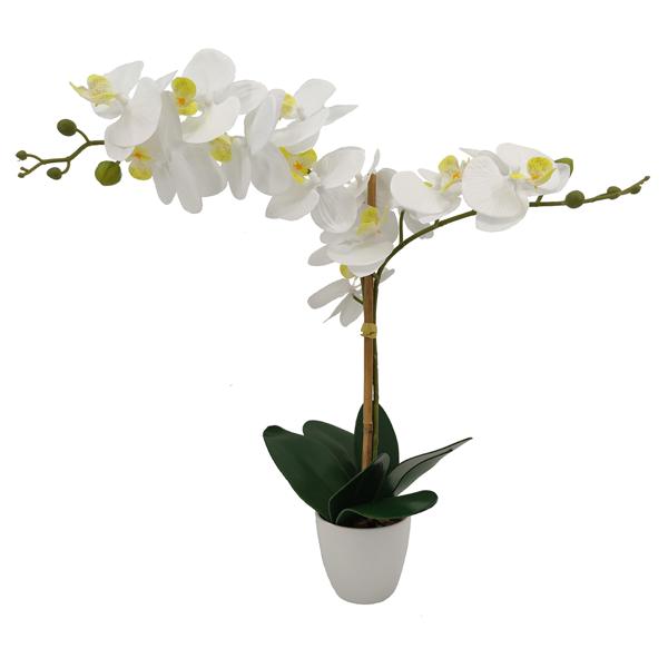 Seiden-Orchidee im Topf - Pflegeleichte Kunstpflanze mit 10 weissen Blüten - Detailgetreu, 61cm hoch, Polyester - Ideal für alle Räume