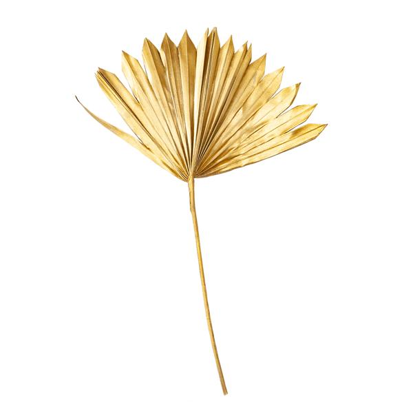 2er-Set dekorative Palmenblätter gold - Natürliche Trockenzweige für Wohnzimmer, Schlafzimmer & Bad - 40x45cm - Ideal für Vasen, Gestecke & Kränze