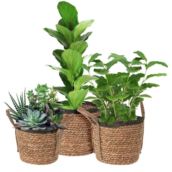 3er-Set Rattan Körbe rund – Vielseitige Aufbewahrungskörbe & Pflanzkörbe mit Henkeln – Braun/Schwarz, Ø 25-33cm, Landhaus-Stil, 130-148 Zeichen