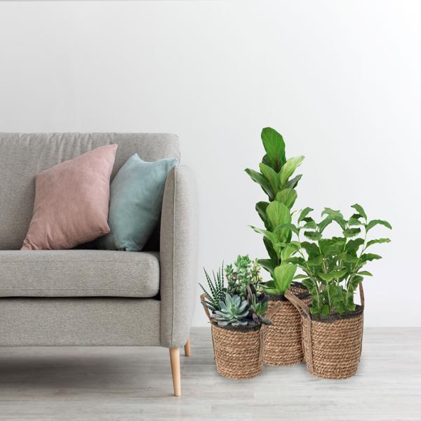 3er-Set Rattan Körbe rund – Vielseitige Aufbewahrungskörbe & Pflanzkörbe mit Henkeln – Braun/Schwarz, Ø 25-33cm, Landhaus-Stil, 130-148 Zeichen