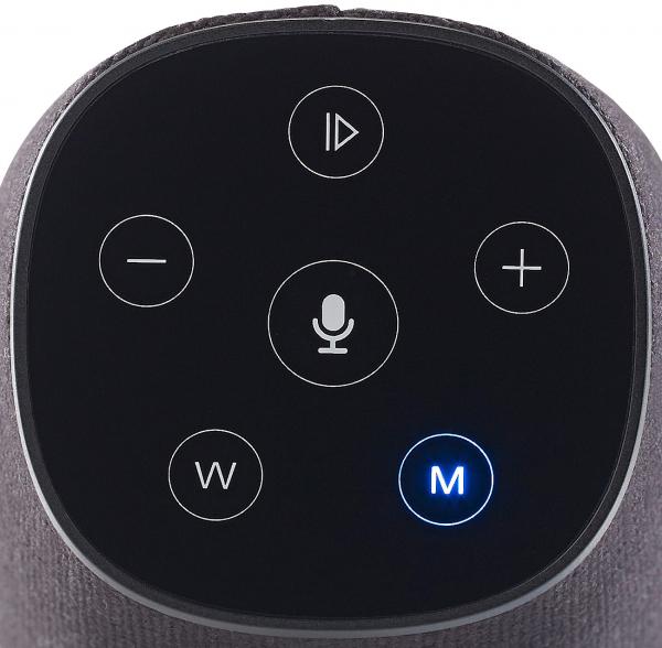 Mobiler WLAN-Multiroom-Lautsprecher mit Amazon Alexa und Akku - 30 Watt Spitzenleistung - AirPlay, Bluetooth 4.0 & AUX - App-Steuerung für iOS/Android