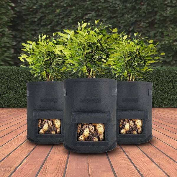 XL-Pflanzen-Wachstumssäcke, 2er-Set, mit Tragegriffen und Sichtfenster, je 38 l, wasserdurchlässig, Vliestopf für Kartoffeln, Zwiebeln, Karotten u.v.m