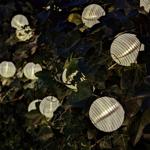 LED Lampion Lichterkette, 2er Set, Solar, warmweiss, 20 weisse Lampions, 3,8m...