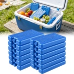 12er Set Kühlakkus für Kühltasche & Lunchbox – je 200g, Kühlelemente flach & ...