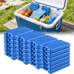 24er Set Kühlakkus für Kühltasche & Lunchbox – je 200g, Kühlelemente flach & ...