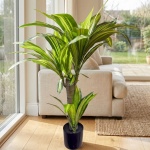 Naturgetreue Kunstpalme Yucca Dracaena 80cm, hochwertige Kunstpflanze: modern...
