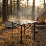 Campingtisch höhenverstellbar mit Rollplatte aus Metall, Faltbarer Outdoor Ti...