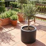 Moderner Blumentopf Rund Ø47cm in Anthrazit, Pflanzkübel 40L aus Kunststoff f...