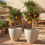 2er-Set Moderner Pflanzkübel Rund Ø58cm in Sand, Blumentopf 86L aus Kunststof...