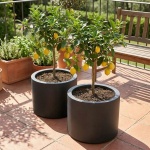2er-Set Moderner Blumentopf Rund Ø47cm in Anthrazit, Pflanzkübel 40L aus Kuns...
