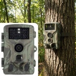 Robuste 4K Ultra HD Wildkamera mit 50MP, 0,2s Auslösezeit & IP65 Schutz - Fot...
