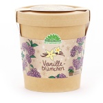 Vanilleblume Anzuchtset im Becher – Pflanzset mit Duft-Saatgut, Quelltablette...
