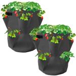 43L Erdbeer-Pflanzsack (2 Stück, anthrazit, Ø35xH45cm) - Atmungsaktiver Filz,...