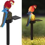 Garten Solarleuchte Papagei, 43cm, warmweiss, mit Erdspieß – Farbenprächtige ...
