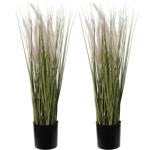 2er-Set Künstliches Ziergras 55cm - Pflegeleicht für dunkle Räume - Ideal bei...