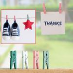 2er-Set Mini-Klammern aus Holz - 80 Stück in 4 Pastell-Farben - Für Fotos, Ka...