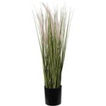 Künstliches Ziergras 55cm - Pflegeleichte Kunstpflanze für Allergiker & Haust...