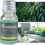 Duftöl Eukalyptus 10ml - Wohlfühlduft für Ihr Wellnesszuhause - belebende Aro...