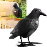 Realistische Vogelabwehr Krähe mit Sound: Batteriebetriebener Raben Vogelschr...