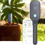 Bluetooth Boden-Feuchtigkeitsmessgerät - App-Steuerung für Android/iOS - miss...