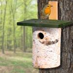 Nistkasten Birkenholz - sicherer Unterschlupf für Wildvögel ganzjährig - Brut...